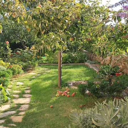 For Families With Children Zdrelac, Pasman - 8424 Lejlighed